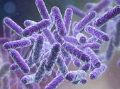 Study Finds Ketones Reduce Gut-produced Inflammatory Cells