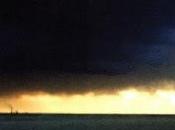 Steven Bradley Summer Bliss Autumn Tears