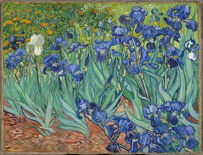 Hoboken Irises @3QD – with thoughts on iris dwellers and iris galaxies