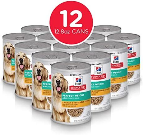 Canned Dog Food: Everything You Need to Know