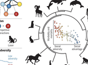 Social Animals Need Connection Health Survival