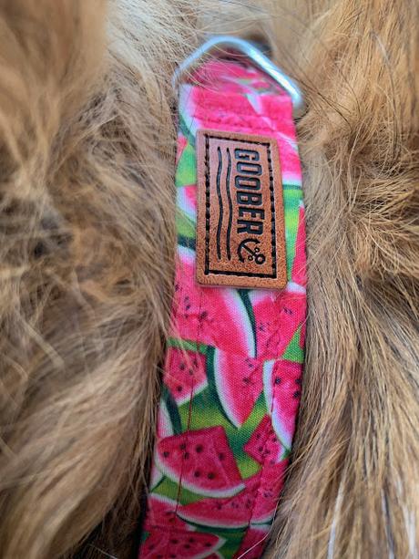 Paws For Reaction Product Review: Goobers Dog Collars are handmade in Canada