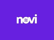 Novi Domain Registrations Start Pouring