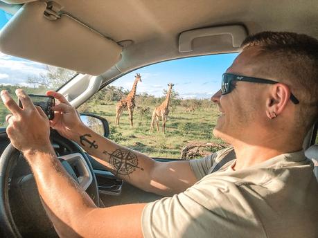 Self-Drive Safari in Kruger National Park, South Africa (Detailed Guide)