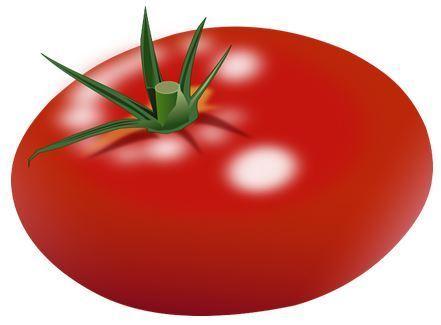 How to Gain the Most Productivity from Technology