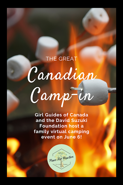 Girl Guides of Canada and the David Suzuki Foundation host The Great Canadian Camp-in