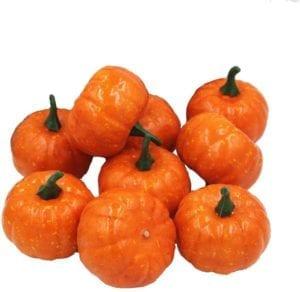  Best Mini Pumpkins 2020