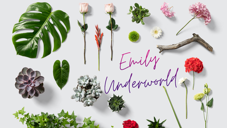 (AD) What are Logo Mockups and Why Are They Useful? Design Bundles