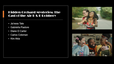 Hidden Orchard Mysteries: The Case of the Air B & B Robbery (2020) Movie Review