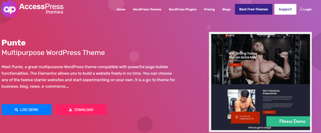 Punte Review 2020 |  A Multipurpose Theme Free You Must Try