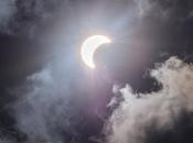 Some Posts That Like Another Guide What’s Here Savanna [sampling Space]