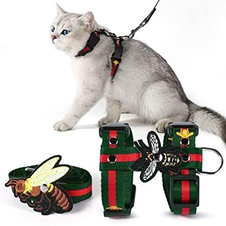 The Cat Harness: Everything You Need to Know