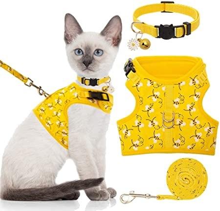 The Cat Harness: Everything You Need to Know