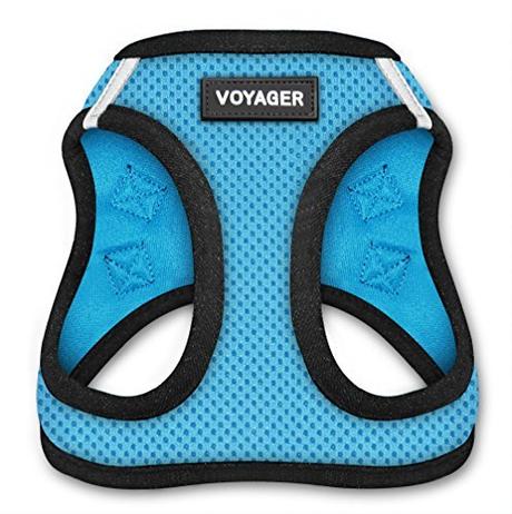Voyager Step-In Air Dog Harness - All Weather Mesh, Step In Vest Harness for Small and Medium Dogs by Best Pet Supplies - Baby Blue Base, X-Large (Chest: 21' - 23')