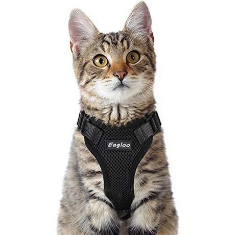 Eagloo Cat Harness Escape Proof Small Cat and Dog Harness Soft Mesh Harness Adjustable Cat Vest Harness with Reflective Strap Metal Clip Cat Walking Jacket Comfort Fit for Kitten Puppy Black Small