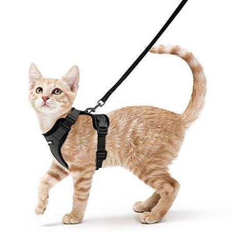 Cat Harness and Leash Set for Walking, Escape Proof with 59 Inches Leash - Adjustable Soft Vest Harnesses for Small Medium Cats, Cat Leash Harness with Reflective Strips & 1 Metal Leash Ring, Black
