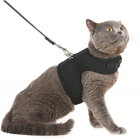 Escape Proof Cat Harness with Leash - Adjustable Soft Mesh - Best for Walking Purple Medium