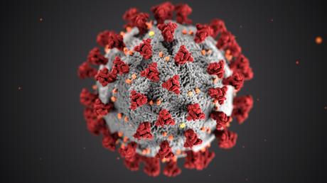 Coping with the Coronavirus Pandemic