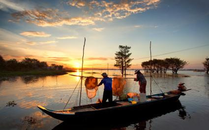 Halong Bay or Mekong Delta: Fishing on the Delta