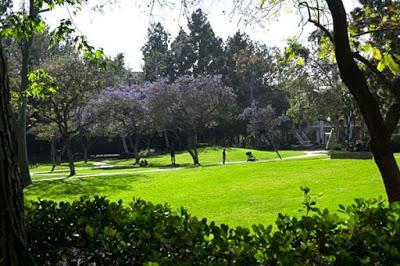 UCLA SCULPTURE GARDEN: A Fresh Air Art Museum in the Middle of Los Angeles