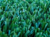 Artificial Turf, Plastic Grass