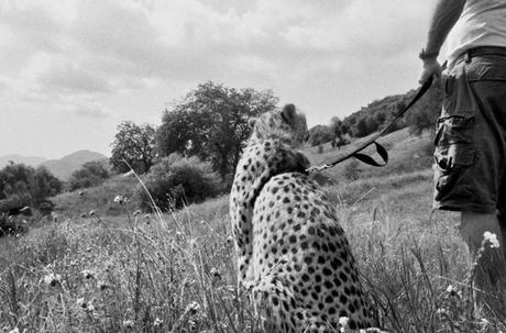 Bird’s Eye View On Tata New Haven Project In Bangalore
