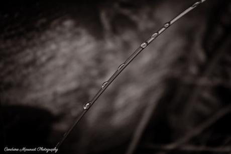 PoArtMo 2020: The story behind my Droplets photo