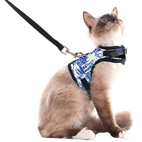 SCENEREAL Escape Proof Cat Harness and Leash - Adjustable Soft Mesh Vest Harness for Rabbits Puppy Kittens Coconut Tree Printing, S