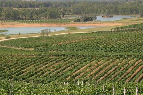 The Best Restaurants to try in Hunter Valley