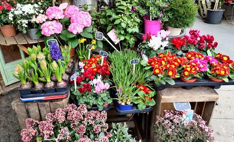 Oppo Find X2 Pro Expert Review Oppo Find X2 Pro Photography