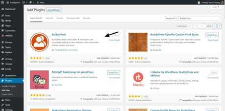 Install BuddyPress Plugin