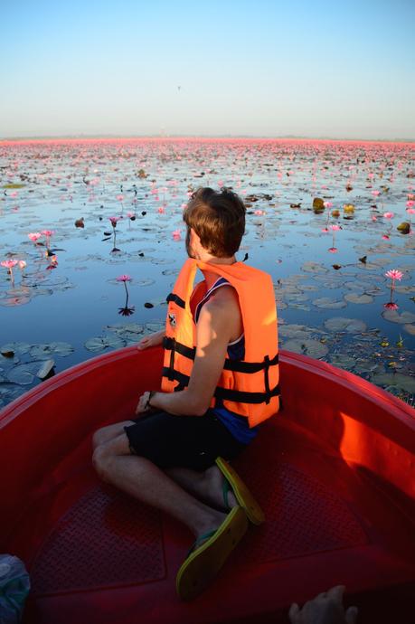 Thailand’s Stunning “Red Lotus Sea”