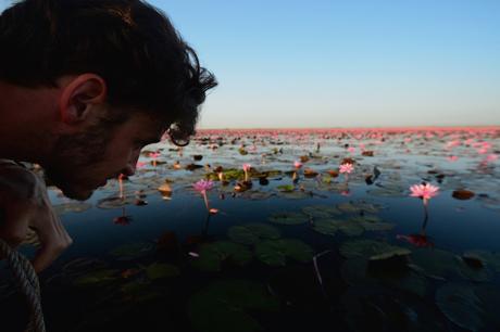 Thailand’s Stunning “Red Lotus Sea”