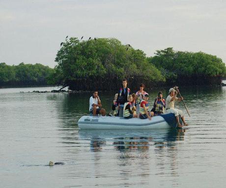 Dreaming about your next vacation? The perfect Galapagos itinerary