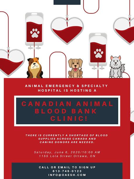 Canine donors needed: Ottawa Animal Emergency & Specialty Hospital is hosting a Canadian Animal Blood Bank Clinic