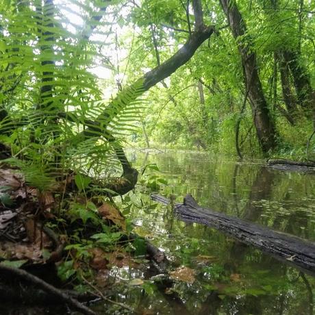 12 Eerie Ghost Towns You Can Still Visit Around America