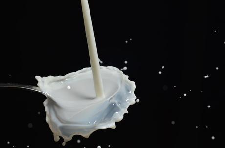 Incredible Benefits of Milk Everything You need to know?