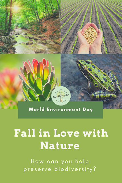 Fall back in love with nature on World Environment Day: Learn how you can help preserve biodiversity 