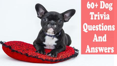 dog trivia questions