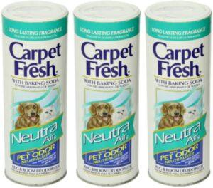  Best Carpet Fresh Products 2020
