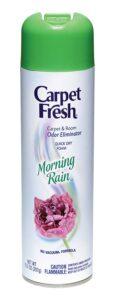 Best Carpet Fresh Products 2020