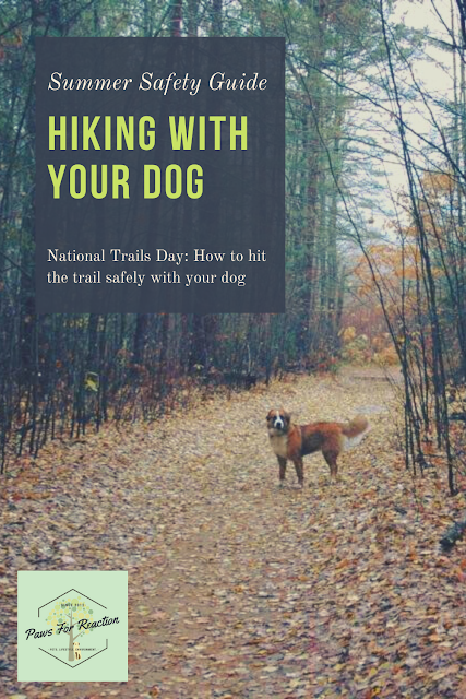 National Trails Day June 6 Guide to safe day hiking with your dog
