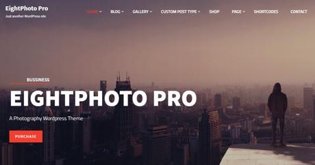 photography theme