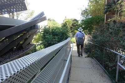 UCLA BOTANICAL GARDEN: From Cacti to a Subtropical Woodlend in the Heart of the Los Angeles