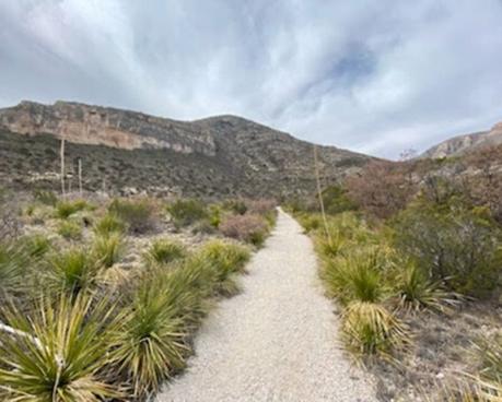 Hiking Guadalupe Mountains National Park: The Greatest National Park in Texas