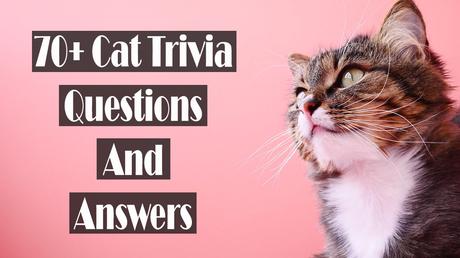 cat trivia questions