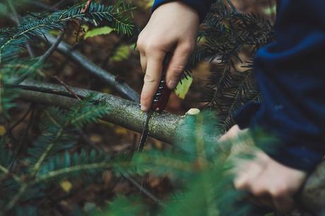 person cutting branch with saw