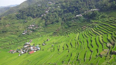 Travel Guide Budget and Itinerary for Batad