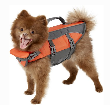 Dog PFD: The best life preservers and life jackets for dogs