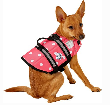 Dog PFD: The best life preservers and life jackets for dogs